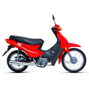 Moto Guerrero TRIP G-110 Automatica