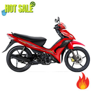 Moto TVS Neo