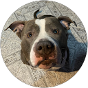 Braian Campodonico profile picture